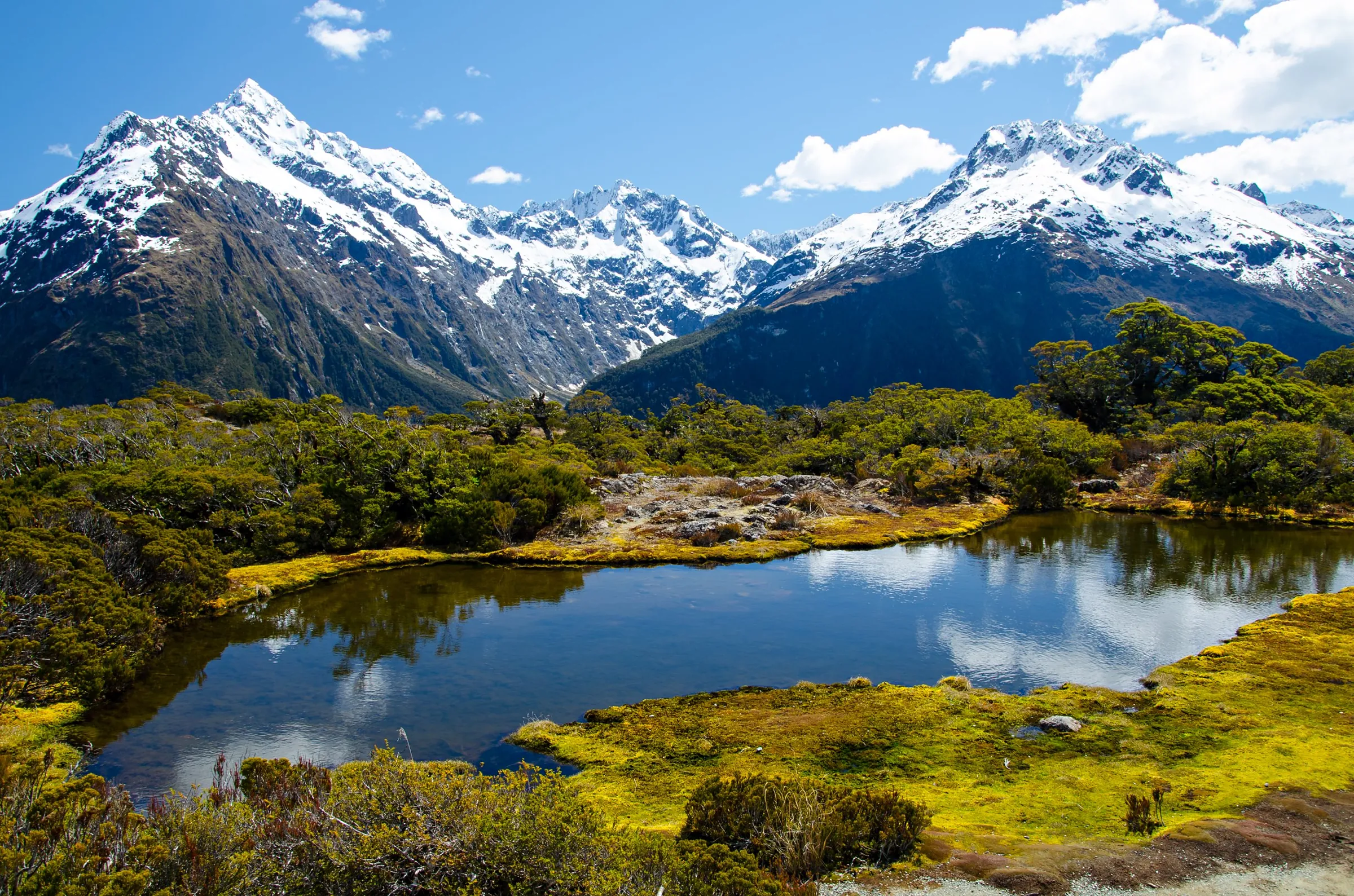 Montañas nevadas y laguna rodeada de vegetación